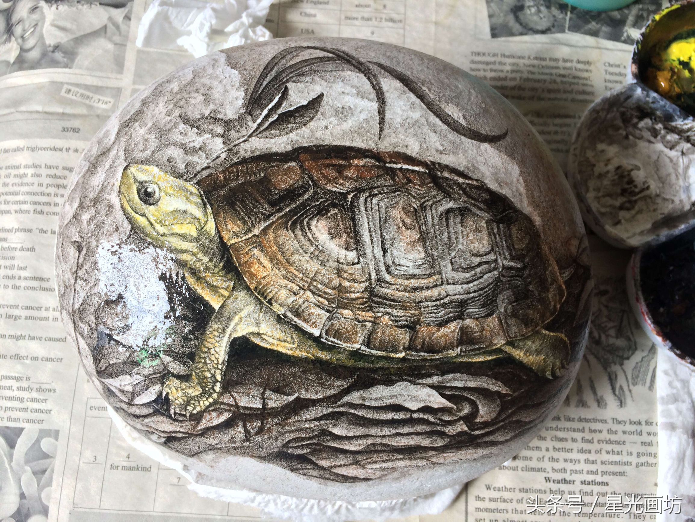 石头上画乌龟教程,龟石头画教程