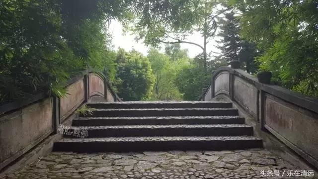 我读书多不会骗你,我读书多不骗你表情包