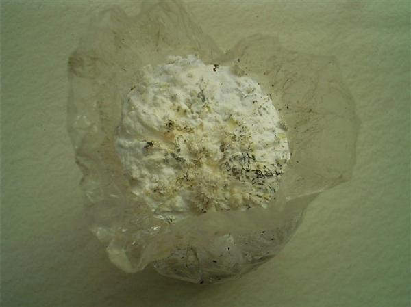 用盆种蘑菇,种蘑菇用的材料可以养花