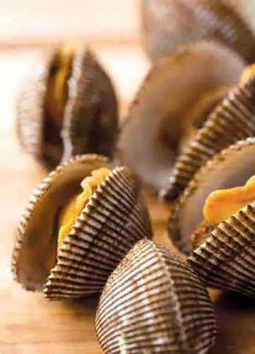 几种常见的贝类你都分不清,还敢说自己是吃货?(文末附食谱)