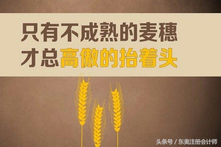 都在会计行业,但我有资格鄙视你!