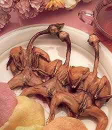 红楼梦美食大盘点,红楼梦美食名场面