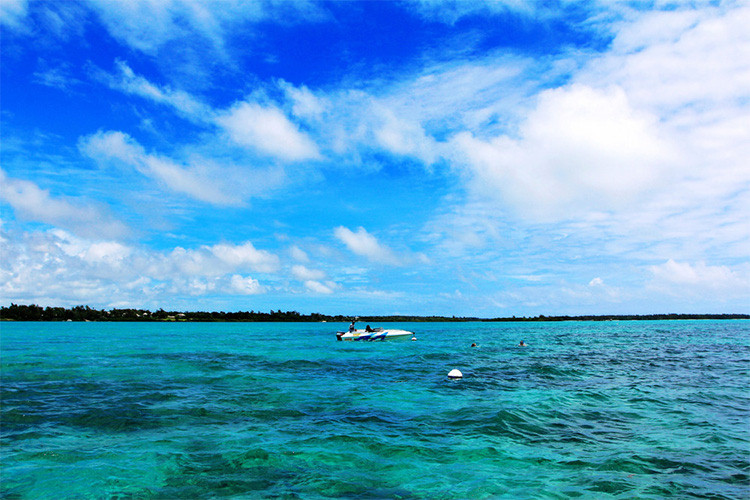 阳光沙滩空气温度24度,毛里求斯海豚游玩攻略