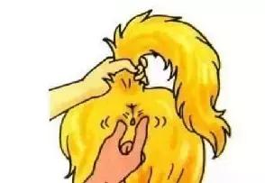 猫狗“有味”从何来？你不得不知的宠物臭味来源