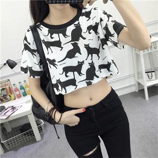 浣犳槸鍝鍔ㄧ墿鐨勫寲韬憿,浣犳槸鍝鍔ㄧ墿鐏甸瓊