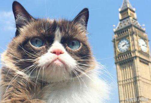 学生遇到人际交往困难如何应对,大学生如何化解心理冲突或挫折