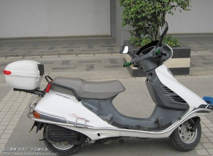 广东人为何偏爱日本车,广东人爱买日系车