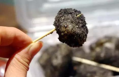 厦门中山街有什么好吃的推荐,厦门中山路不能错过的十家小吃