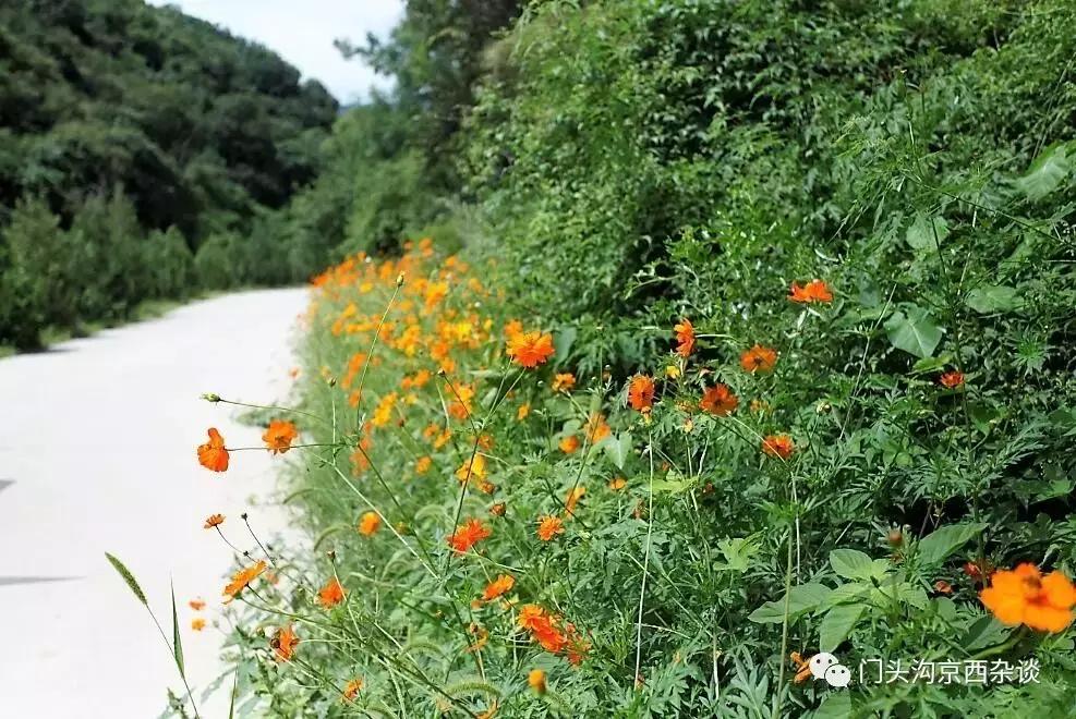 门头沟有山有水的野地,门头沟山里隐藏的别墅