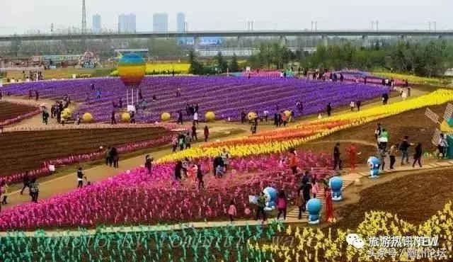 七夕约起！神农国际大酒店首届“七彩风车花海节+梦幻冰雪泡泡秀