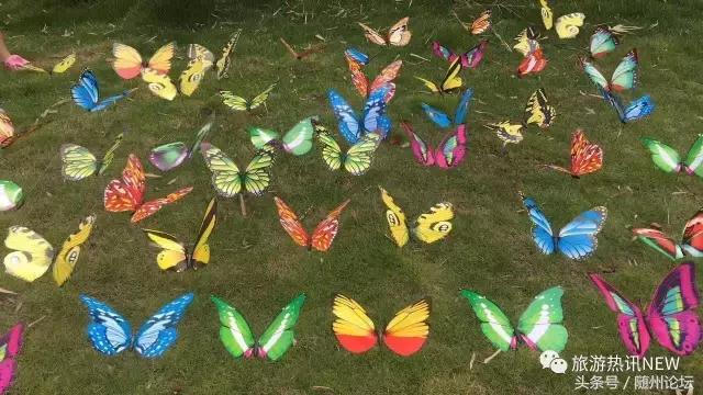 七夕约起！神农国际大酒店首届“七彩风车花海节+梦幻冰雪泡泡秀