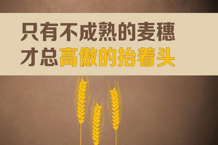 都在会计行业,但我有资格鄙视你!