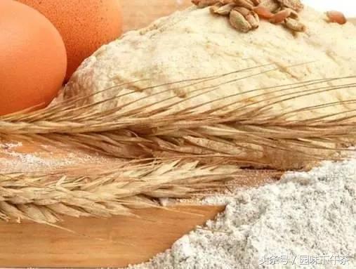 全麦粉为何被评为十大好谷物,黑全麦粉的营养表