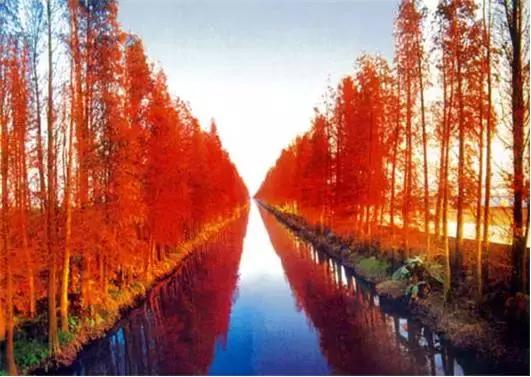 湖北最美二十个景点推荐,湖北哪个风景区最好玩