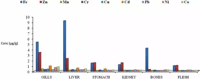 普通鱼的心脏和肝能吃吗,鱼的肝脏是解毒的吗