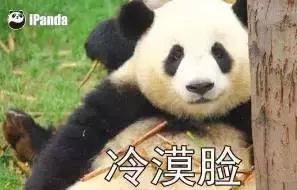 男朋友是内蒙古人，第一次送的礼物是一只羊网友笑喷：成都人只能送火锅底料了！