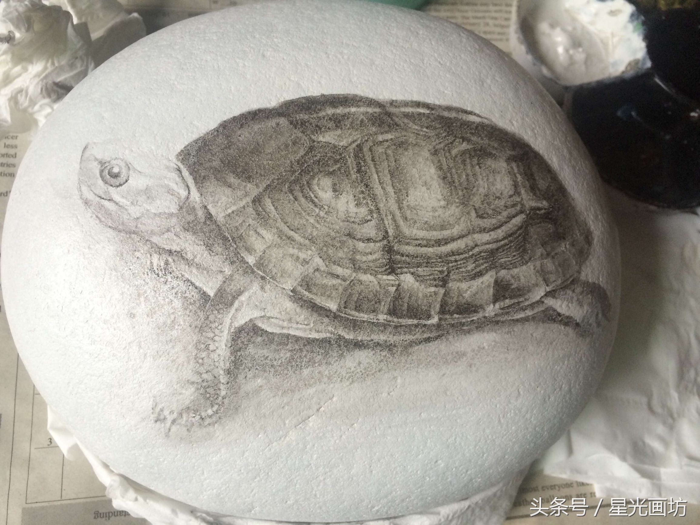 石头上画乌龟教程,龟石头画教程