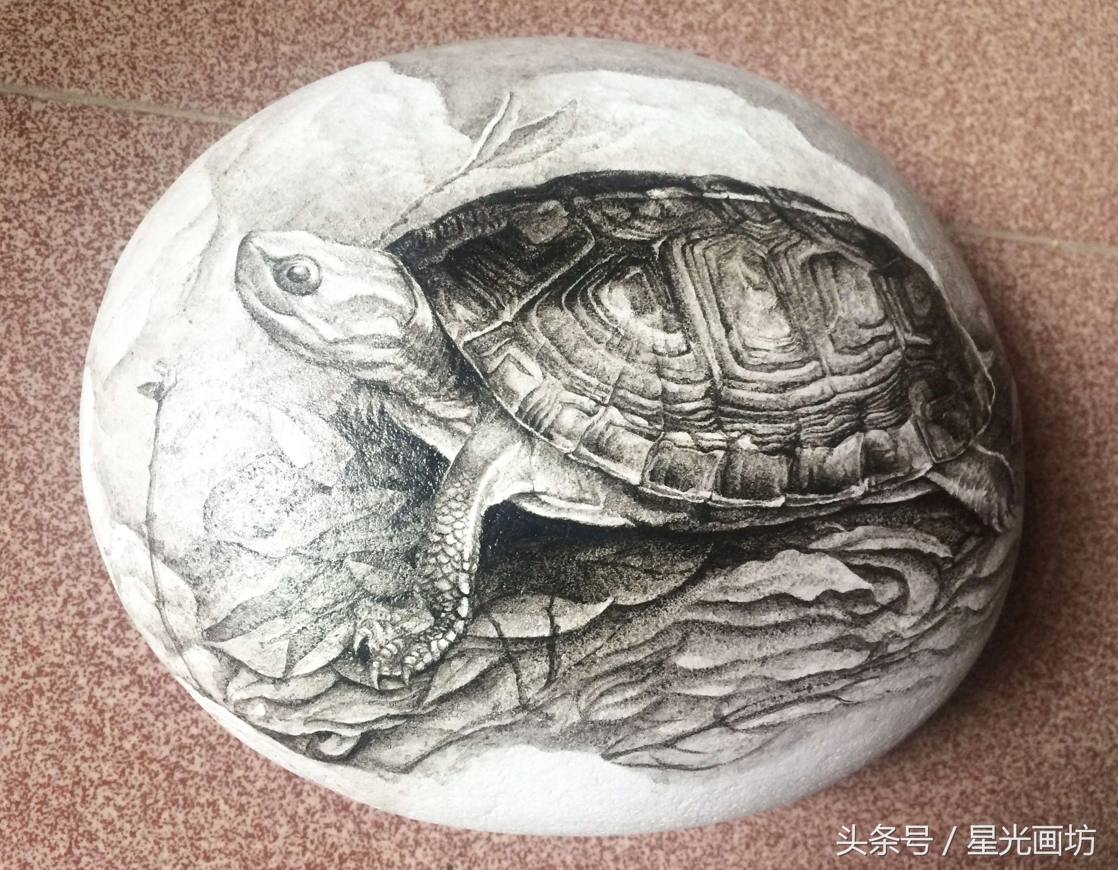 石头上画乌龟教程,龟石头画教程