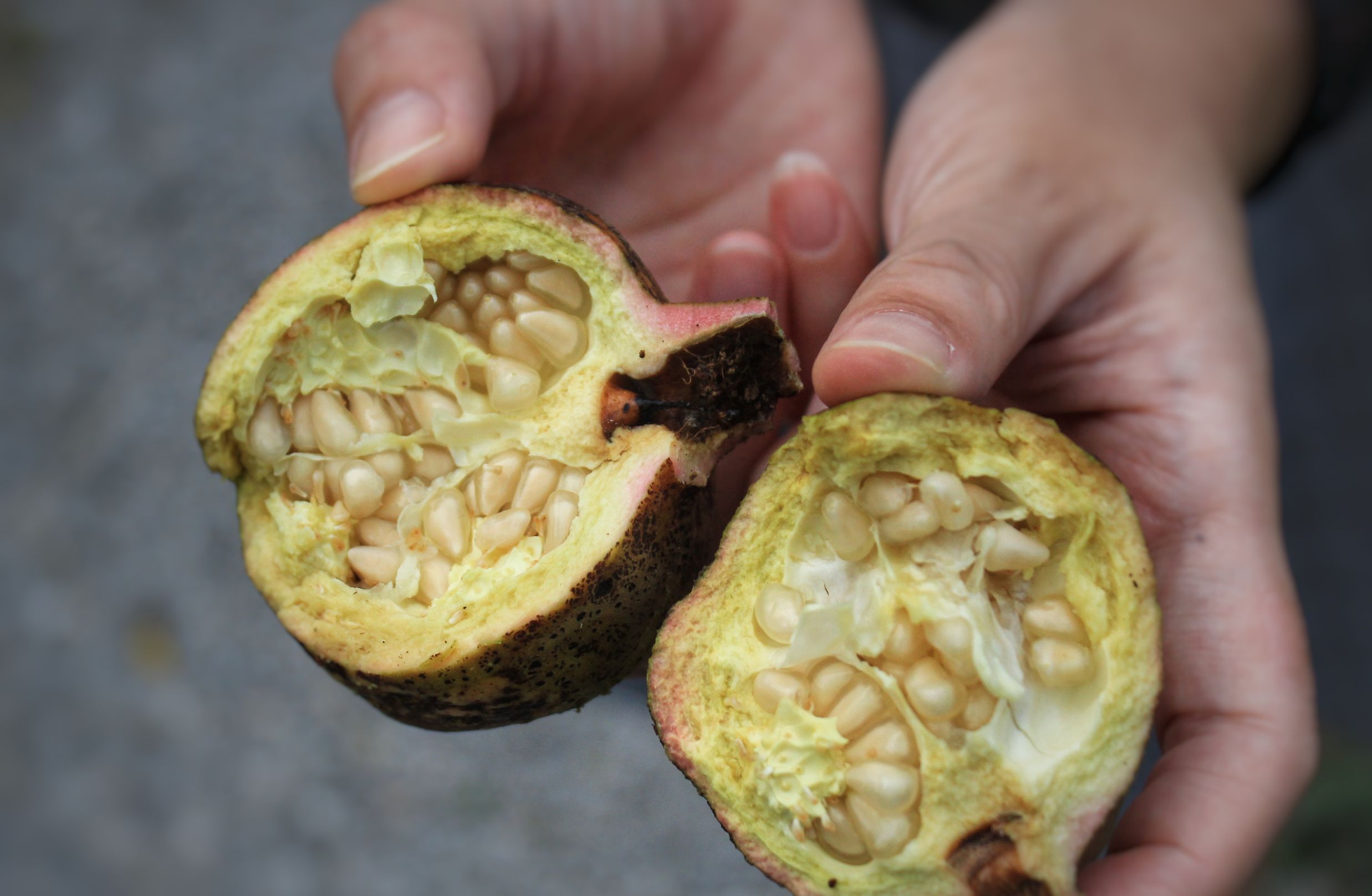 高淳最美的小镇,高淳得半庄园地址