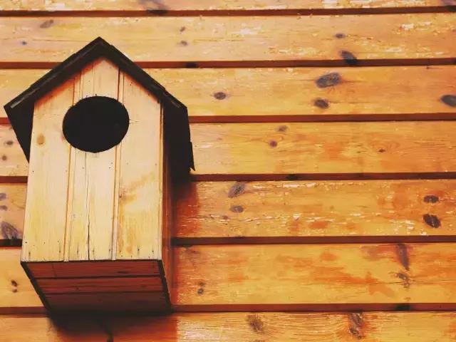 绥芬河对岸城市,绥芬河以北是哪