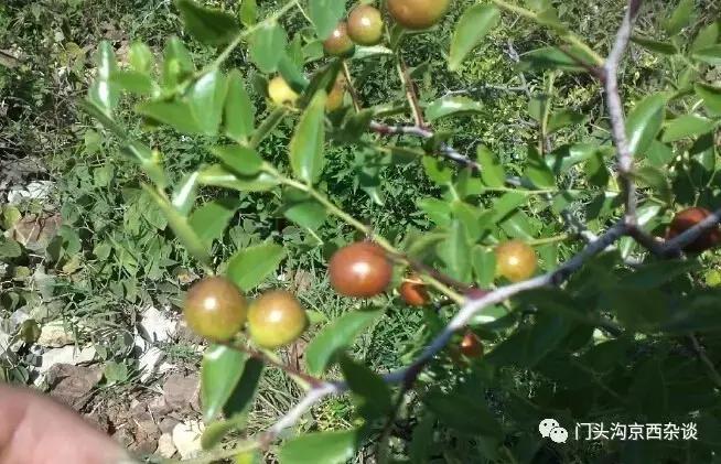 门头沟有山有水的野地,门头沟山里隐藏的别墅