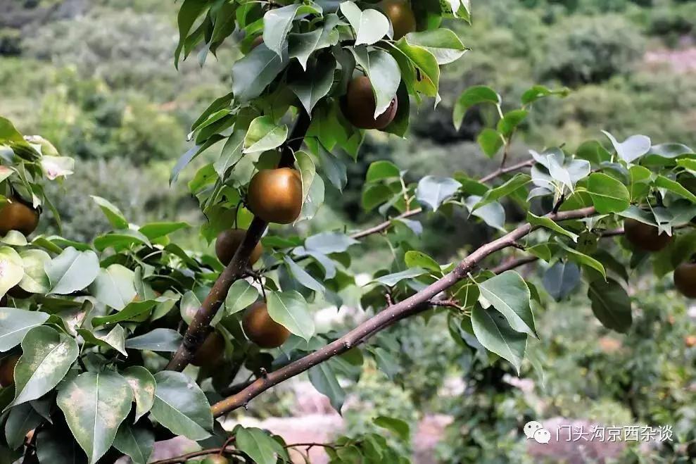 门头沟有山有水的野地,门头沟山里隐藏的别墅