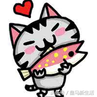 海口哪里的烤鱼最好吃,海口好吃高级海鲜店