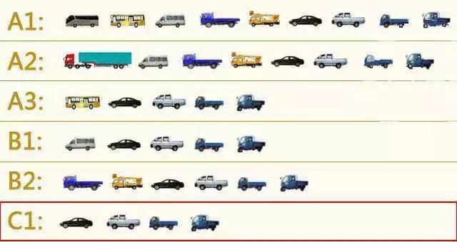 你的驾照能开哪几辆车,c1驾照开什么车会扣12分