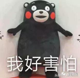 中国十大毒性最强动物,十大最强剧毒动物