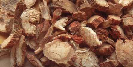 三七如何使用降三高,三七降三高视频