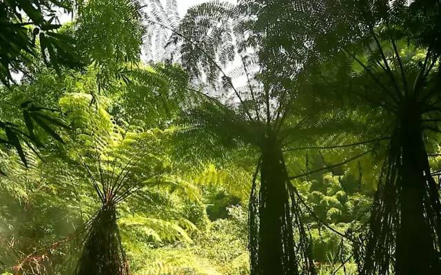 遵义城区旅游推荐,遵义旅游景点攻略