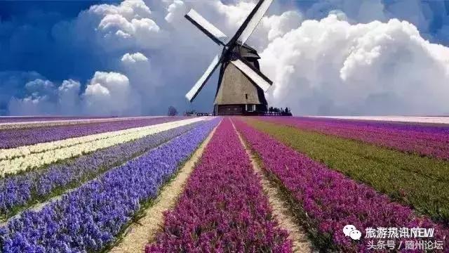 七夕约起！神农国际大酒店首届“七彩风车花海节+梦幻冰雪泡泡秀