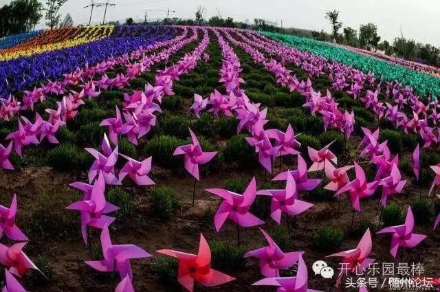 七夕约起！神农国际大酒店首届“七彩风车花海节+梦幻冰雪泡泡秀