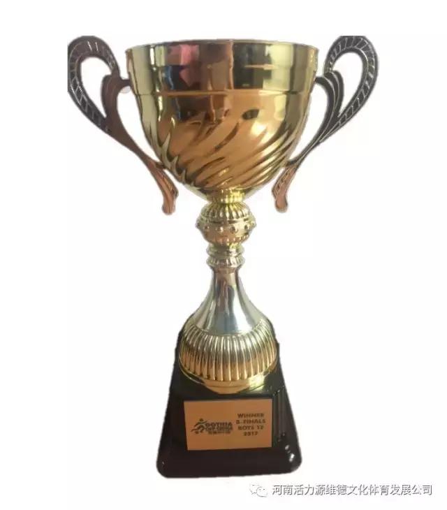 河南维德青少年足球队,维德青少年足球队