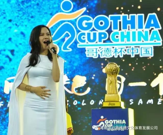 河南维德青少年足球队,维德青少年足球队