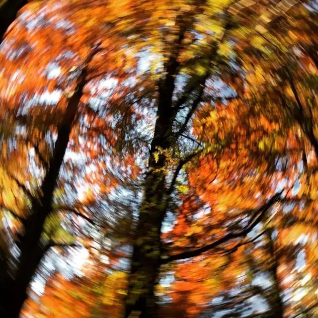 技巧：难得“糊”图，看不清楚也动人