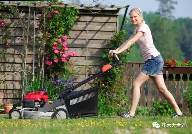 全球园林机械市场,园林工具市场前景如何