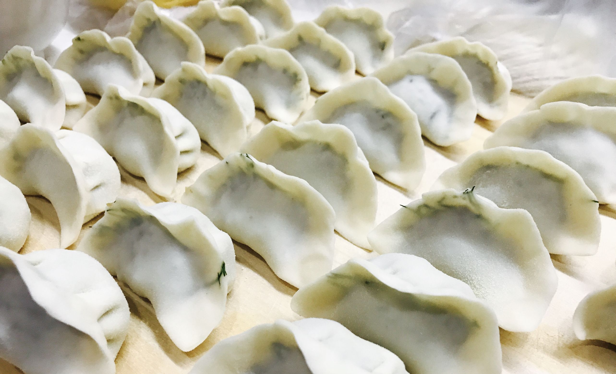 好吃多汁美味的肉馅茴香饺子,比肉都好吃的素茴香馅饺子