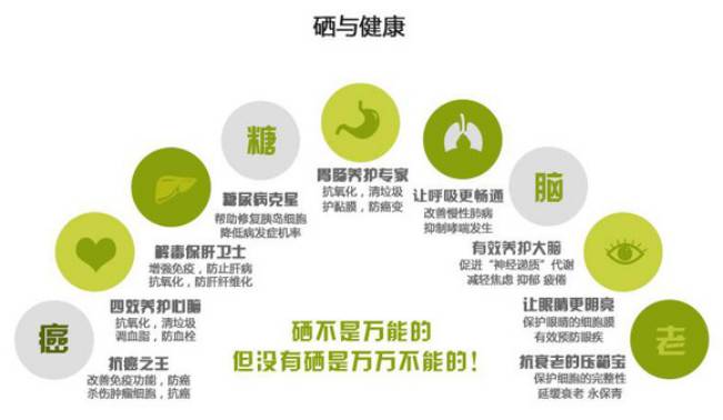 众筹农业种植项目,恩施咸丰富硒小土豆扶贫