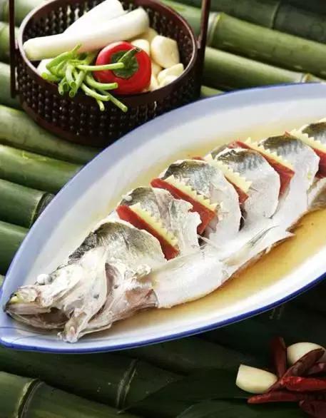 乌镇的故事简短,乌镇似水年华酒馆