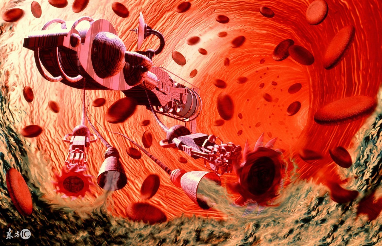 永生之物各个体质获得方法,永生怎么获得