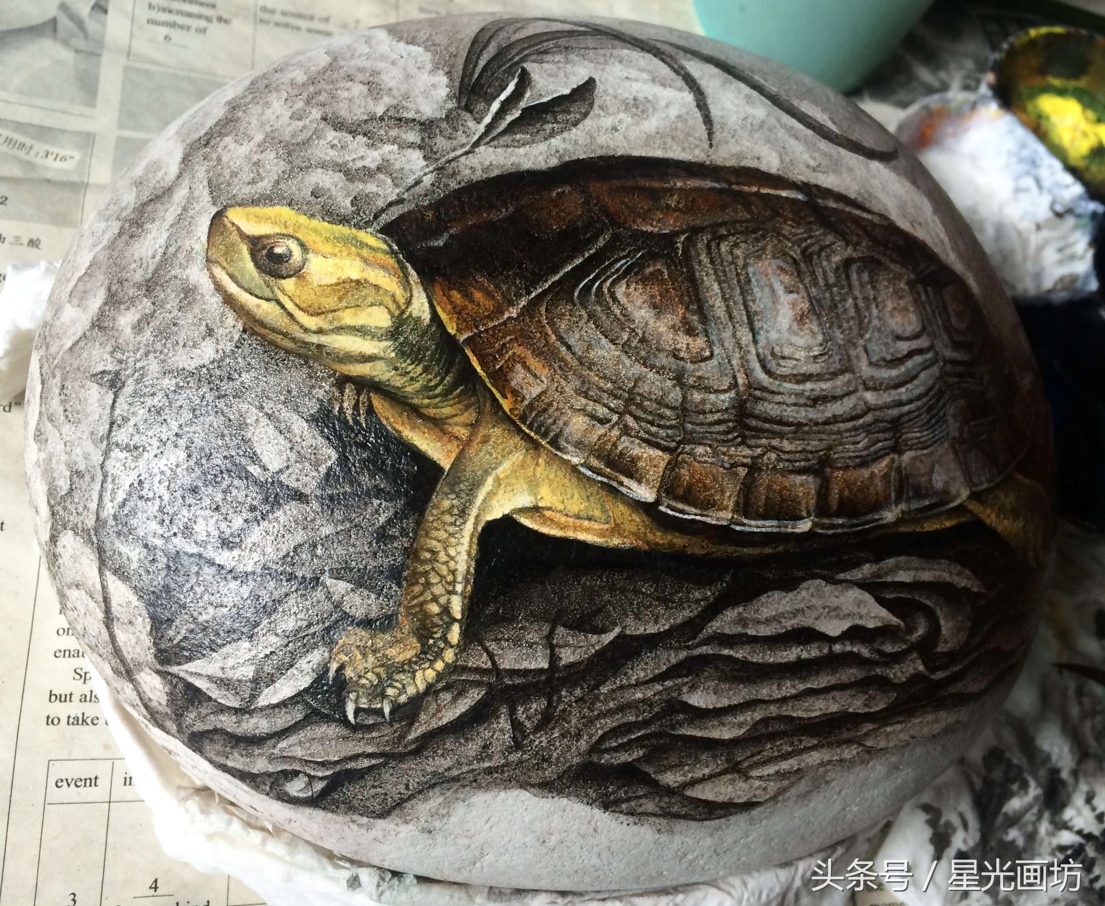 石头上画乌龟教程,龟石头画教程