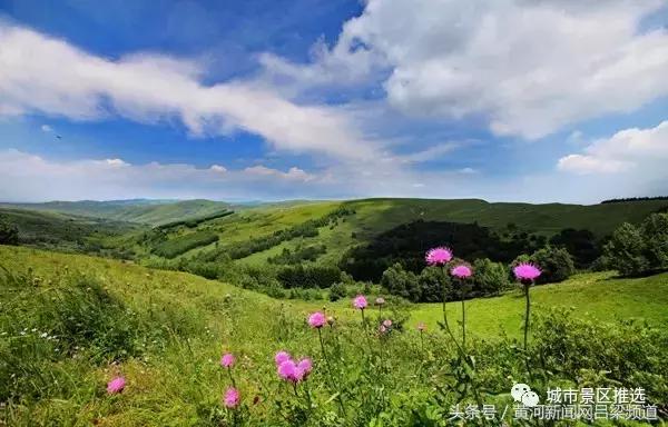 山西岚县十佳旅游城市,岚县旅游景点大全排名