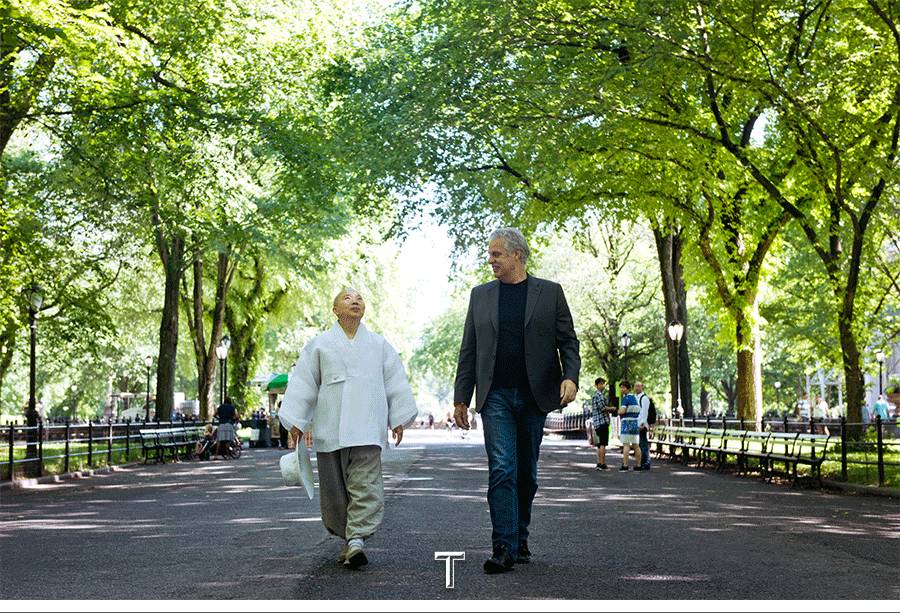 跟随站在世界素食料理之巅的静观师太，来一次曼哈顿素食修行之旅