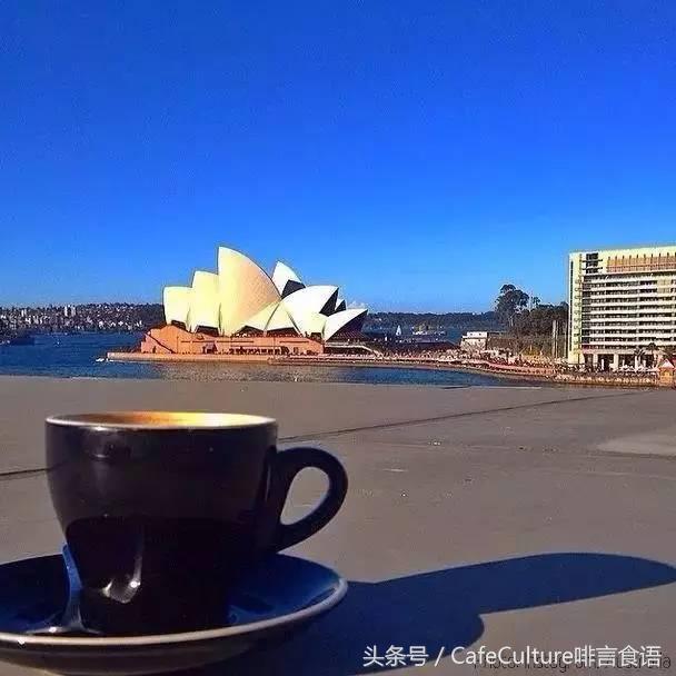 11月20-28日｜邀您参加澳大利亚金豆杯咖啡餐饮之旅