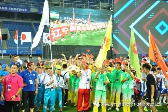 河南维德青少年足球队,维德青少年足球队