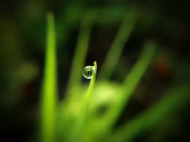 技巧：难得“糊”图，看不清楚也动人