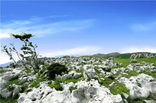 湖北最美二十个景点推荐,湖北哪个风景区最好玩