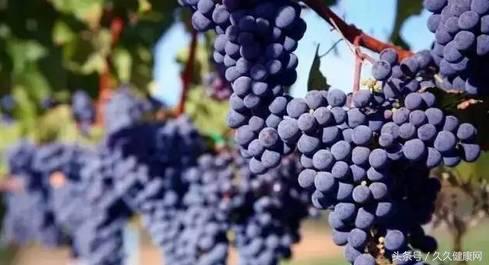 处暑节气的传统习俗及养生攻略,处暑养生常识简单介绍