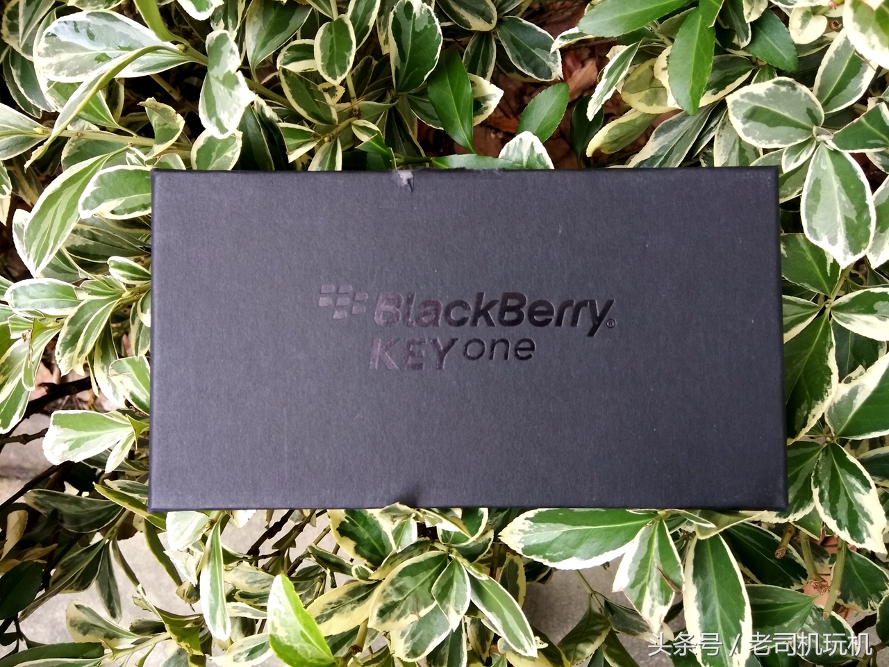 黑莓keyone选哪个颜色,黑莓keyone国行版正式发布